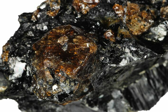 Fluorescent Zircon Crystals in Biotite Schist - Norway #175864